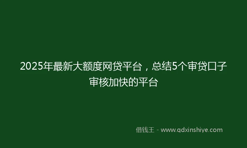 2025年最新大额度网贷平台，总结5个审贷口子审核加快的平台