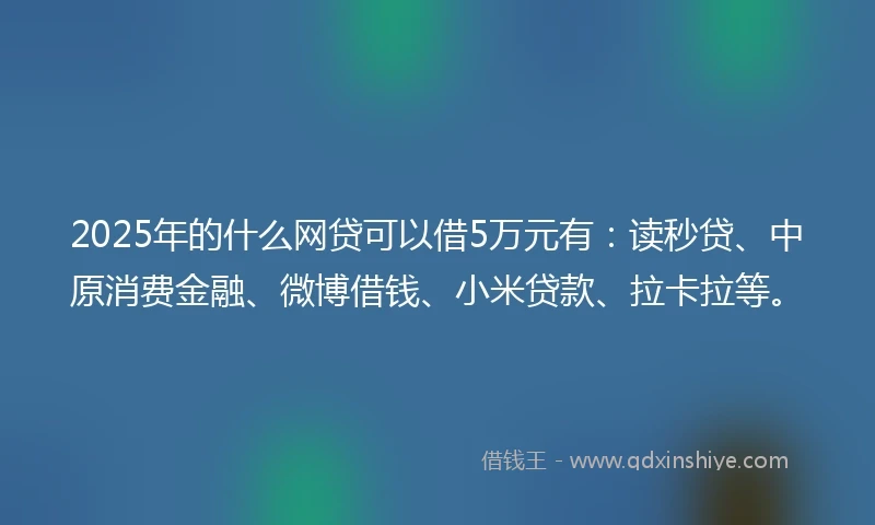 2025年的什么网贷可以借5万元有：读秒贷、中原消费金融、微博借钱、小米贷款、拉卡拉等。