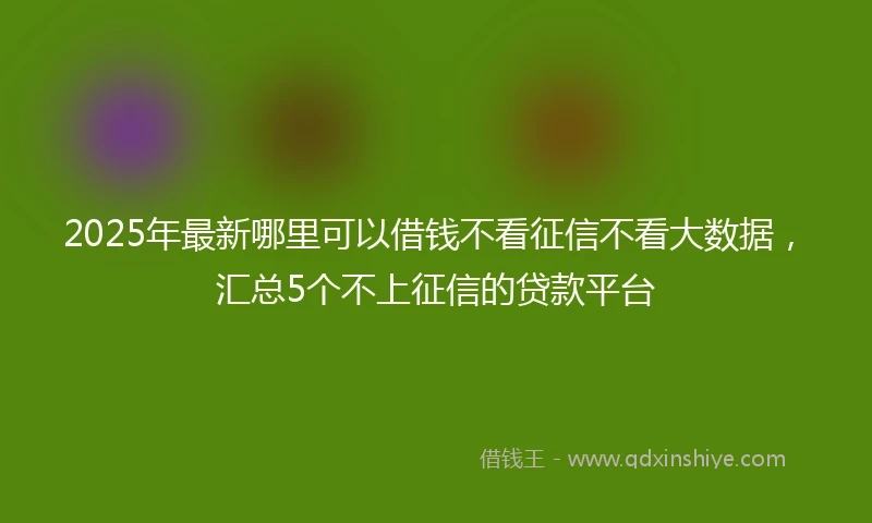 2025年最新哪里可以借钱不看征信不看大数据，汇总5个不上征信的贷款平台