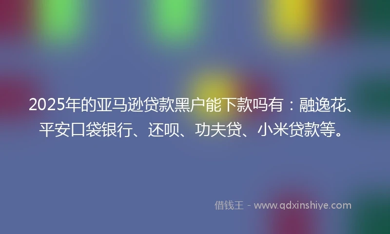 2025年的亚马逊贷款黑户能下款吗有：融逸花、平安口袋银行、还呗、功夫贷、小米贷款等。