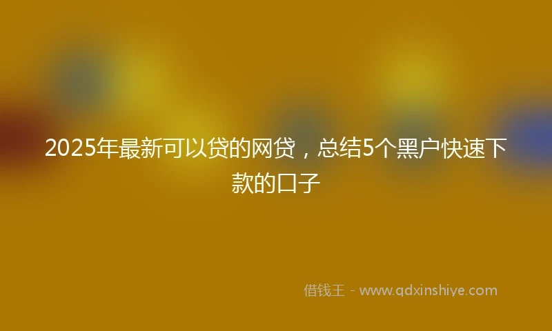 2025年最新可以贷的网贷，总结5个黑户快速下款的口子