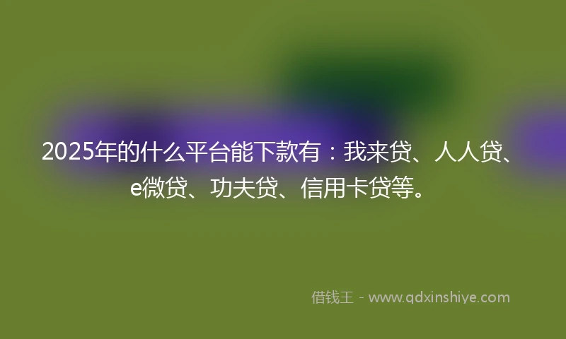 2025年的什么平台能下款有：我来贷、人人贷、e微贷、功夫贷、信用卡贷等。