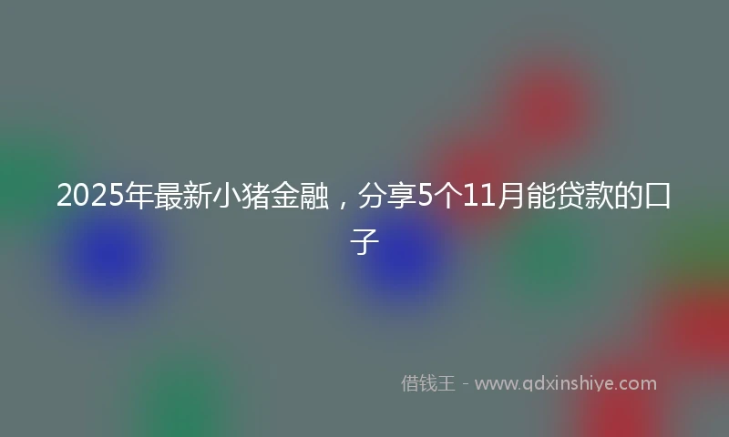 2025年最新小猪金融，分享5个11月能贷款的口子