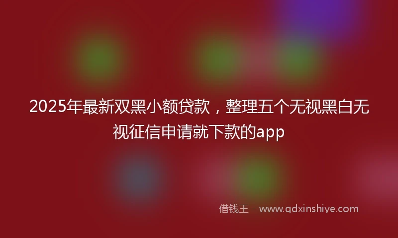 2025年最新双黑小额贷款，整理五个无视黑白无视征信申请就下款的app