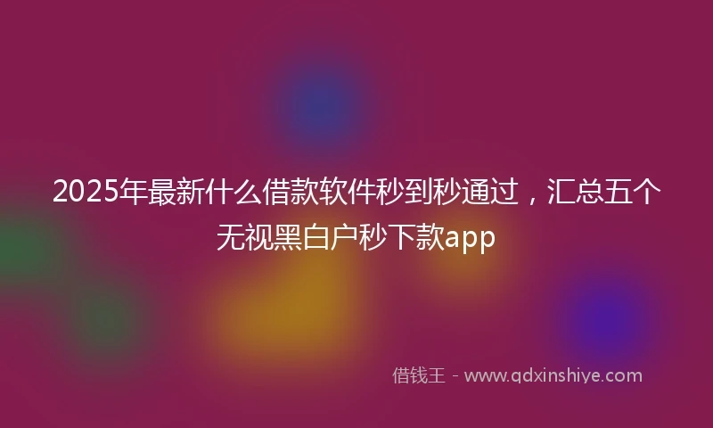 2025年最新什么借款软件秒到秒通过，汇总五个无视黑白户秒下款app