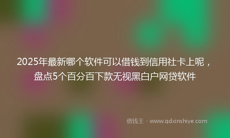 2025年最新哪个软件可以借钱到信用社卡上呢，盘点5个百分百下款无视黑白户网贷软件