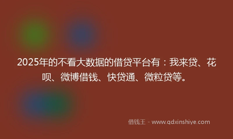 2025年的不看大数据的借贷平台有：我来贷、花呗、微博借钱、快贷通、微粒贷等。