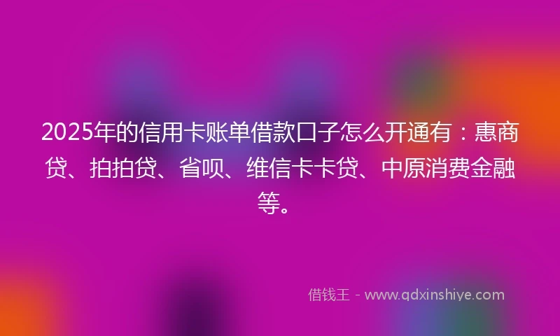 2025年的信用卡账单借款口子怎么开通有：惠商贷、拍拍贷、省呗、维信卡卡贷、中原消费金融等。