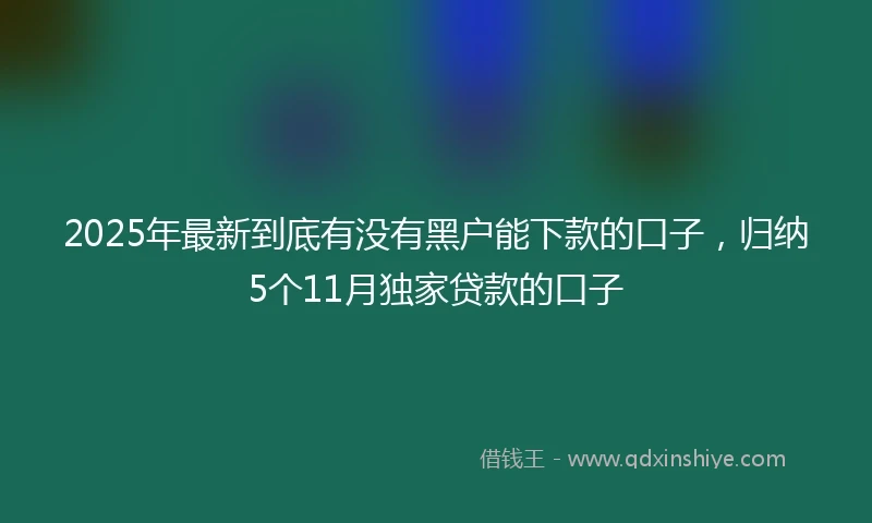 2025年最新到底有没有黑户能下款的口子，归纳5个11月独家贷款的口子