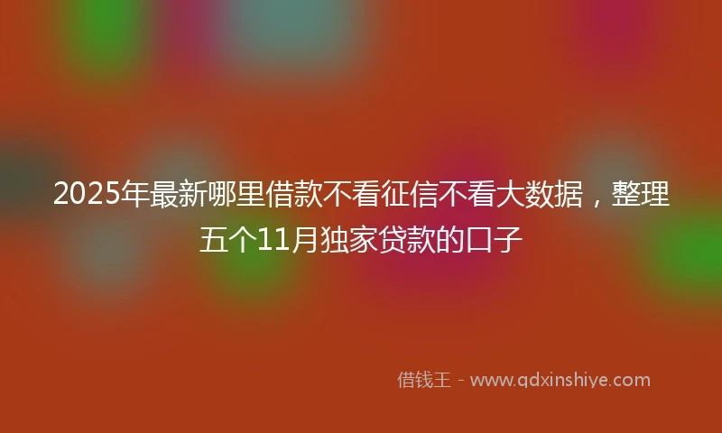 2025年最新哪里借款不看征信不看大数据，整理五个11月独家贷款的口子