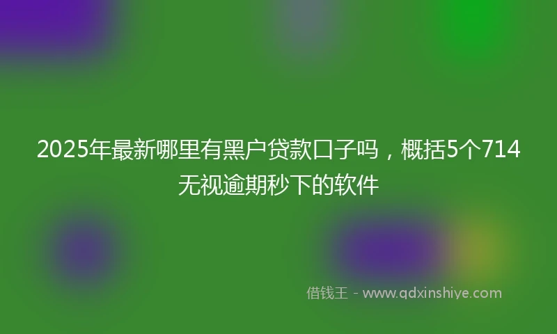 2025年最新哪里有黑户贷款口子吗，概括5个714无视逾期秒下的软件