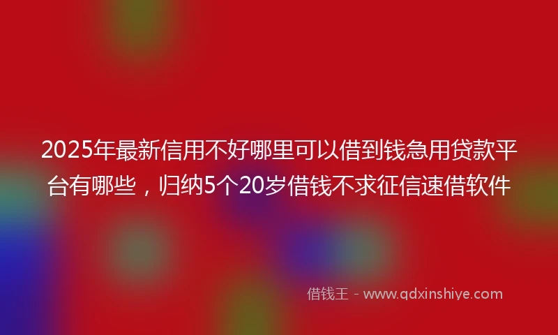 2025年最新信用不好哪里可以借到钱急用贷款平台有哪些，归纳5个20岁借钱不求征信速借软件