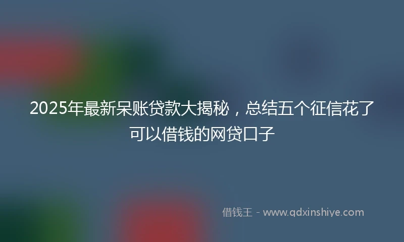2025年最新呆账贷款大揭秘，总结五个征信花了可以借钱的网贷口子