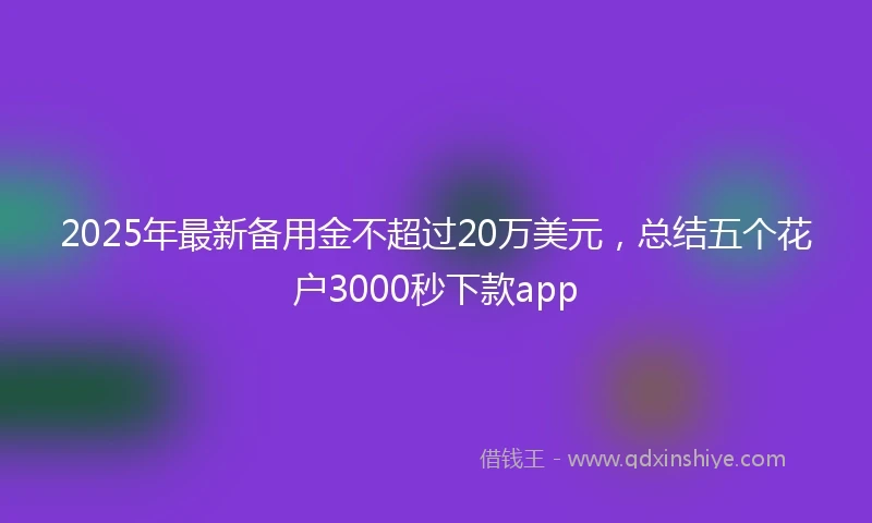 2025年最新备用金不超过20万美元，总结五个花户3000秒下款app
