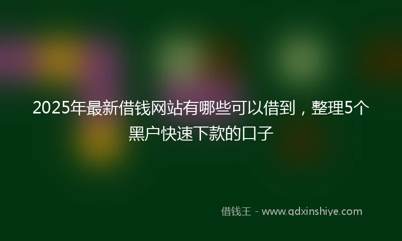 2025年最新借钱网站有哪些可以借到，整理5个黑户快速下款的口子