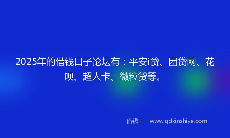 2025年的借钱口子论坛有：平安i贷、团贷网、花呗、超人卡、微粒贷等。