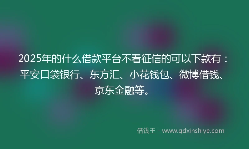 2025年的什么借款平台不看征信的可以下款有：平安口袋银行、东方汇、小花钱包、微博借钱、京东金融等。