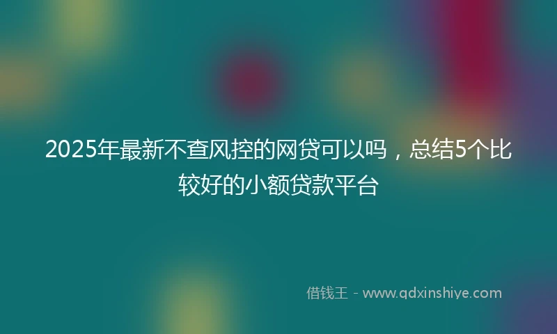 2025年最新不查风控的网贷可以吗，总结5个比较好的小额贷款平台