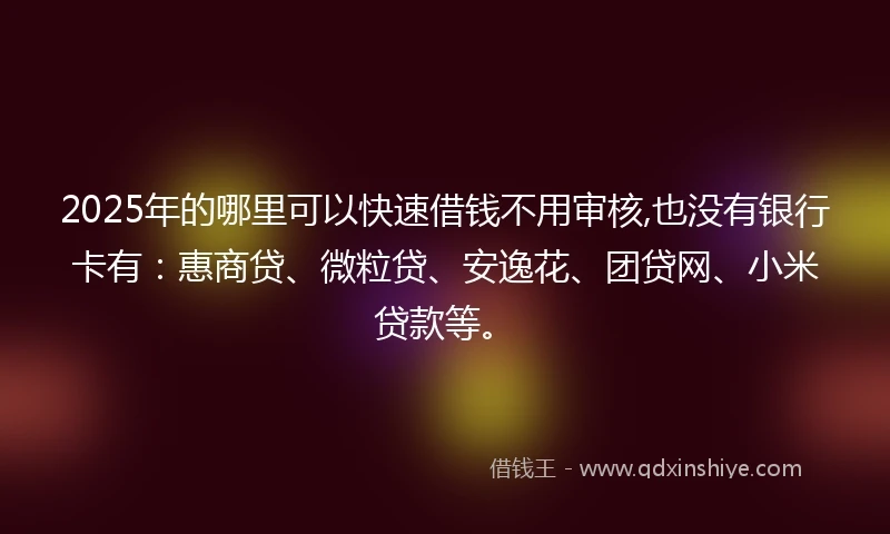 2025年的哪里可以快速借钱不用审核,也没有银行卡有：惠商贷、微粒贷、安逸花、团贷网、小米贷款等。