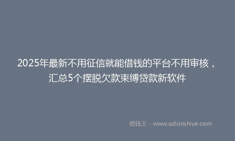2025年最新不用征信就能借钱的平台不用审核，汇总5个摆脱欠款束缚贷款新软件