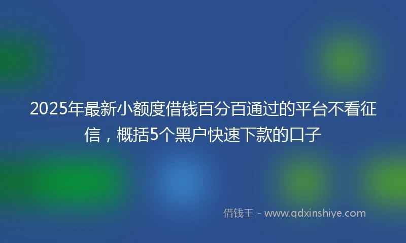 2025年最新小额度借钱百分百通过的平台不看征信，概括5个黑户快速下款的口子