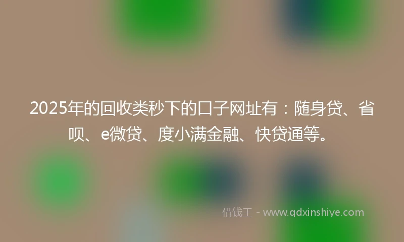 2025年的回收类秒下的口子网址有：随身贷、省呗、e微贷、度小满金融、快贷通等。
