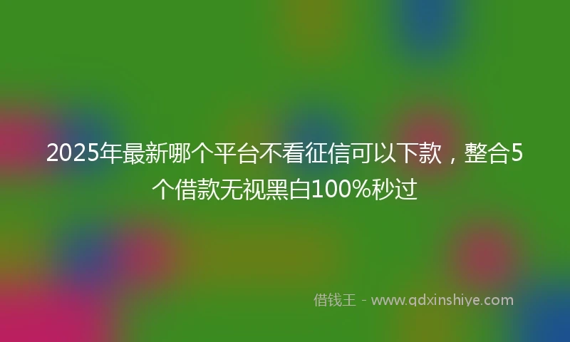 2025年最新哪个平台不看征信可以下款，整合5个借款无视黑白100%秒过
