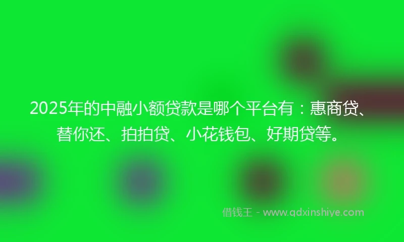 2025年的中融小额贷款是哪个平台有：惠商贷、替你还、拍拍贷、小花钱包、好期贷等。