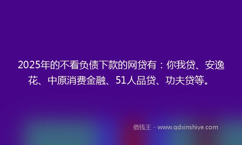 2025年的不看负债下款的网贷有：你我贷、安逸花、中原消费金融、51人品贷、功夫贷等。