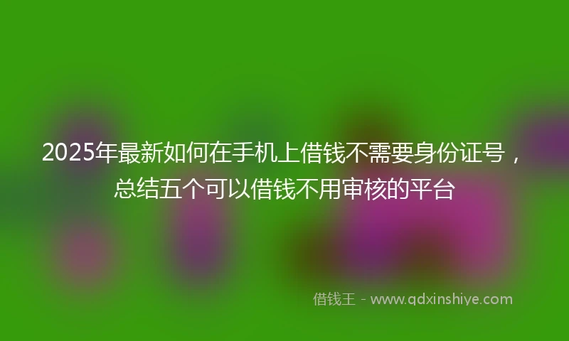 2025年最新如何在手机上借钱不需要身份证号，总结五个可以借钱不用审核的平台