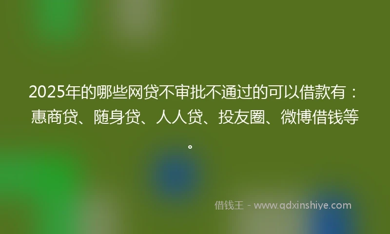 2025年的哪些网贷不审批不通过的可以借款有：惠商贷、随身贷、人人贷、投友圈、微博借钱等。