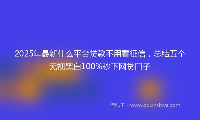 2025年最新什么平台贷款不用看征信，总结五个无视黑白100%秒下网贷口子