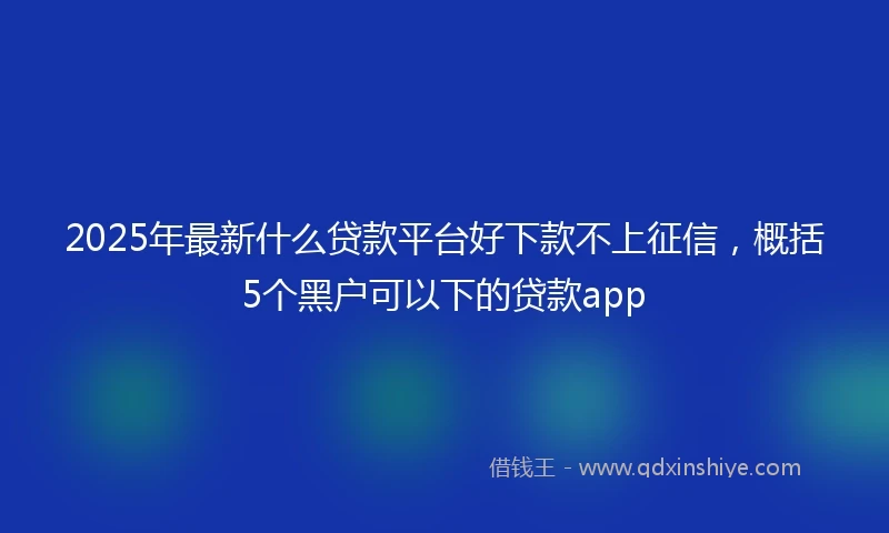 2025年最新什么贷款平台好下款不上征信，概括5个黑户可以下的贷款app