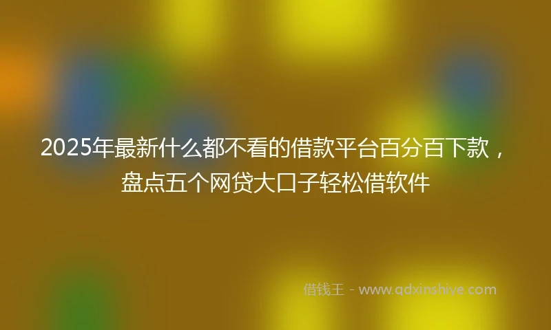 2025年最新什么都不看的借款平台百分百下款，盘点五个网贷大口子轻松借软件