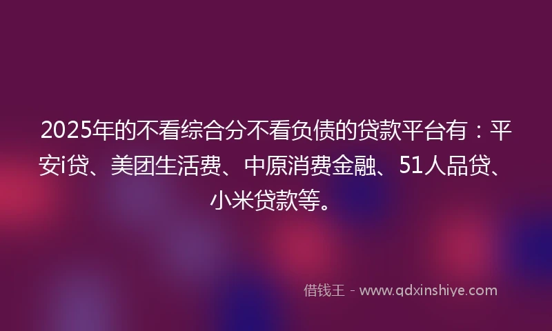 2025年的不看综合分不看负债的贷款平台有：平安i贷、美团生活费、中原消费金融、51人品贷、小米贷款等。