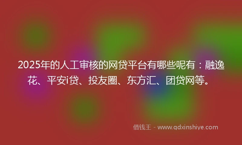 2025年的人工审核的网贷平台有哪些呢有：融逸花、平安i贷、投友圈、东方汇、团贷网等。