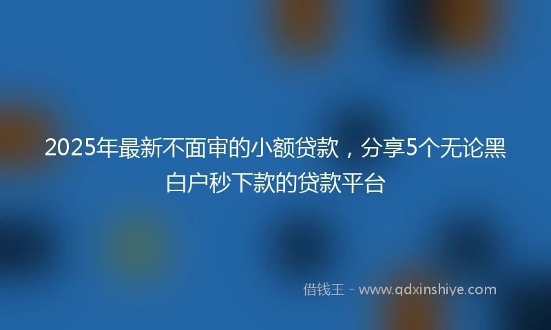 2025年最新不面审的小额贷款，分享5个无论黑白户秒下款的贷款平台