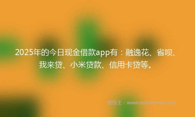 2025年的今日现金借款app有：融逸花、省呗、我来贷、小米贷款、信用卡贷等。
