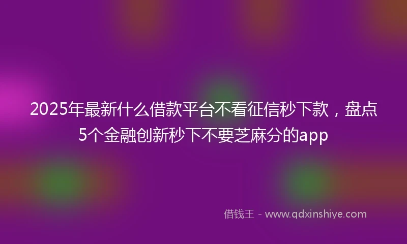 2025年最新什么借款平台不看征信秒下款，盘点5个金融创新秒下不要芝麻分的app