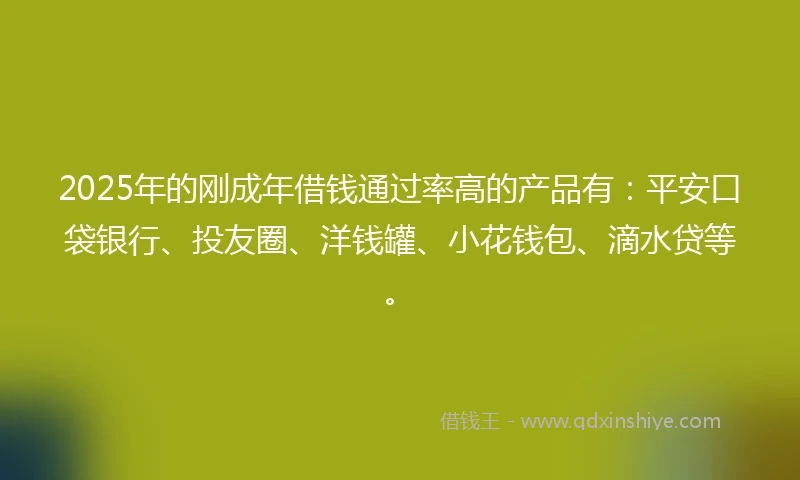 2025年的刚成年借钱通过率高的产品有：平安口袋银行、投友圈、洋钱罐、小花钱包、滴水贷等。