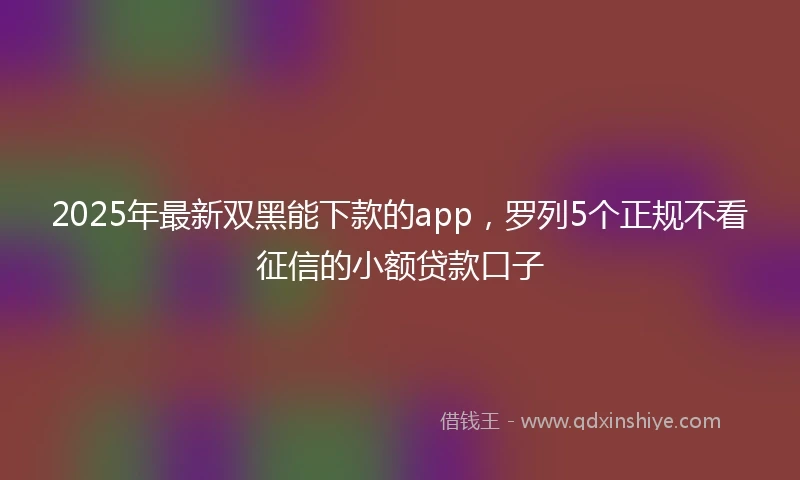 2025年最新双黑能下款的app，罗列5个正规不看征信的小额贷款口子