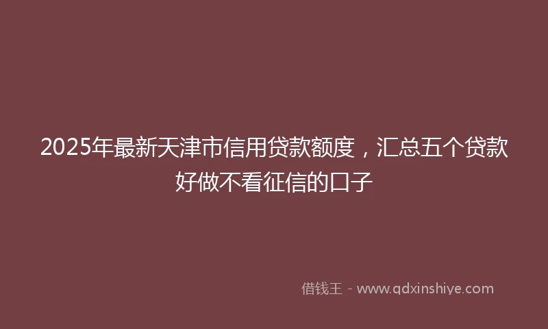 2025年最新天津市信用贷款额度，汇总五个贷款好做不看征信的口子