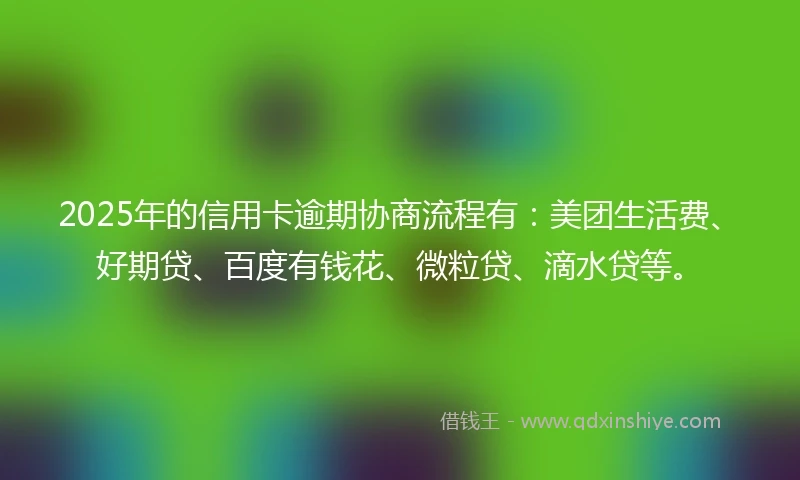 2025年的信用卡逾期协商流程有：美团生活费、好期贷、百度有钱花、微粒贷、滴水贷等。