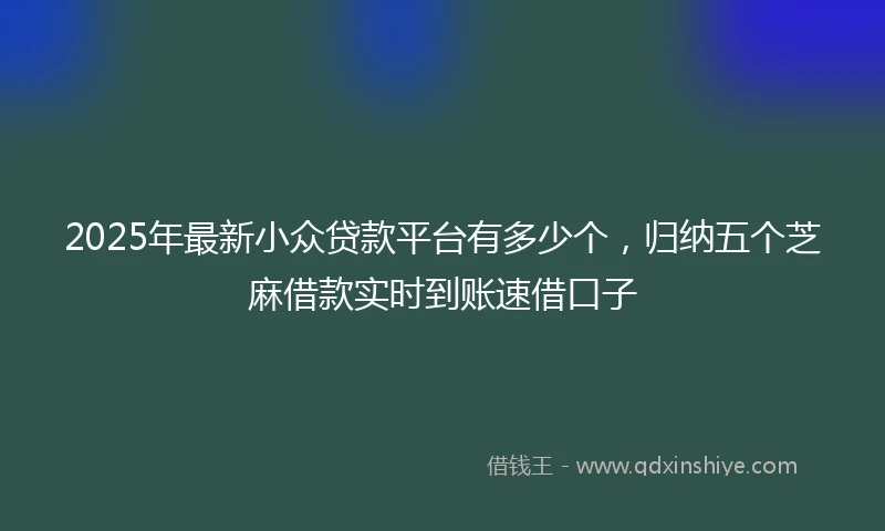 2025年最新小众贷款平台有多少个,归纳五个芝麻借款实时到账速借口子