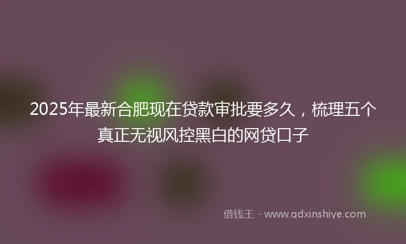 2025年最新合肥现在贷款审批要多久，梳理五个真正无视风控黑白的网贷口子