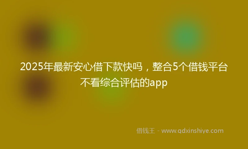 2025年最新安心借下款快吗，整合5个借钱平台不看综合评估的app