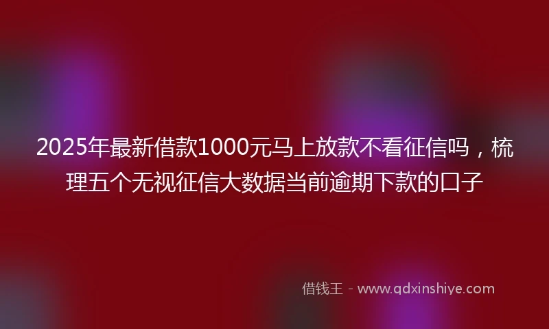 2025年最新借款1000元马上放款不看征信吗，梳理五个无视征信大数据当前逾期下款的口子