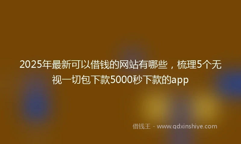 2025年最新可以借钱的网站有哪些，梳理5个无视一切包下款5000秒下款的app