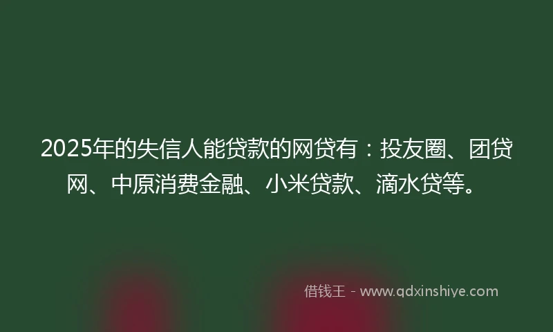 2025年的失信人能贷款的网贷有：投友圈、团贷网、中原消费金融、小米贷款、滴水贷等。