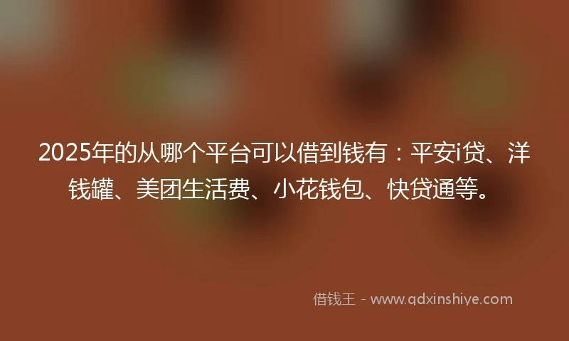 2025年的从哪个平台可以借到钱有：平安i贷、洋钱罐、美团生活费、小花钱包、快贷通等。